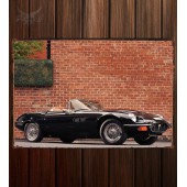 Металлическая табличка Jaguar E-Type V12 Roadster Commemorative Edition (Series III)